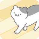 猫咪很可爱