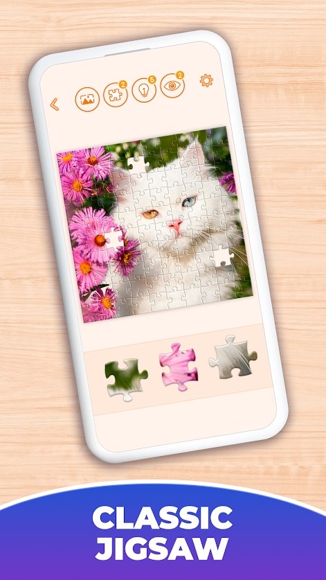 Jigsaw Puzzles
