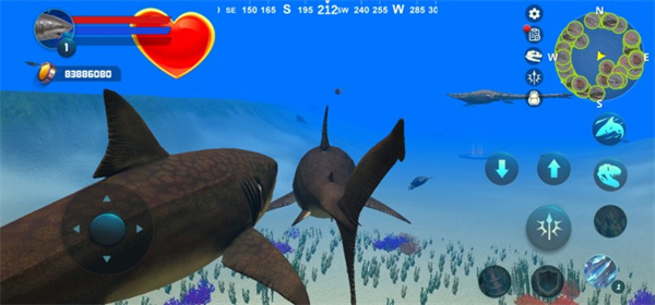 巨齿鲨模拟器（Megalodon Simulator）