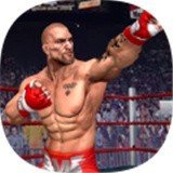 拳击斗士2022(Punch Boxing Fighter 2022)