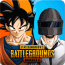 PUBG MOBILE亚服手游