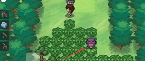 pokemmo怎么进入华蓝洞窟2
