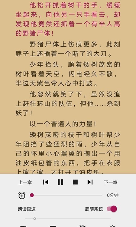 随梦小说