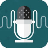 王者万能变声器(王者变声器)