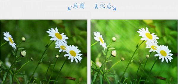 2345看图王手机版