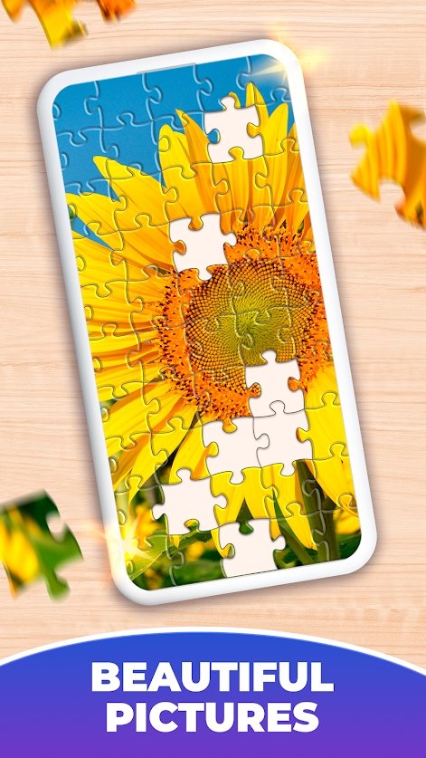 Jigsaw Puzzles