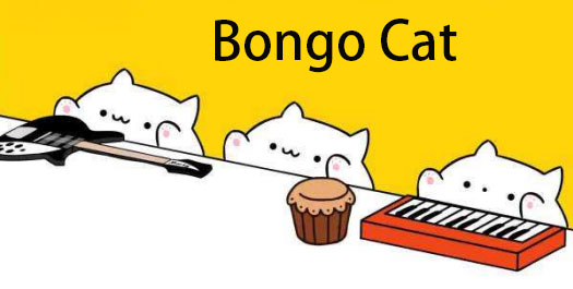 键盘猫