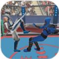 机器人忍者擂台赛(Robot Ninja Ring Fight)