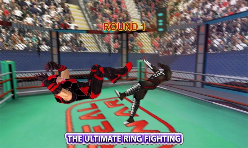 机器人忍者擂台赛(Robot Ninja Ring Fight)