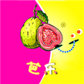 芭乐APP最新版