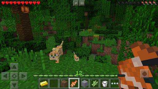 我的世界Beta1.17.10.20最新版(Minecraft)