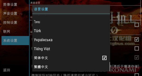 怎么设置中文3