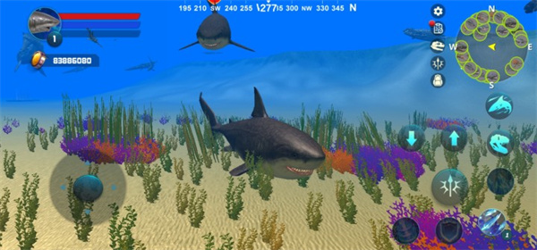 巨齿鲨模拟器（Megalodon Simulator）