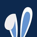 蓝耳朵app