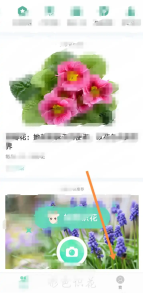 形色图片17
