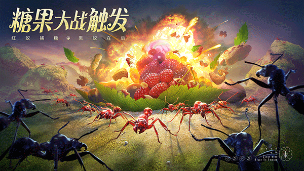 小小蚁国小米版