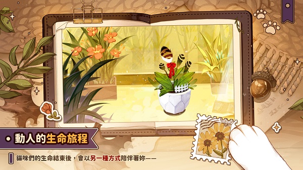 猫逝（losingcatsway）