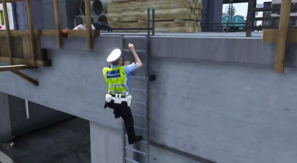 中国警察(China Police)