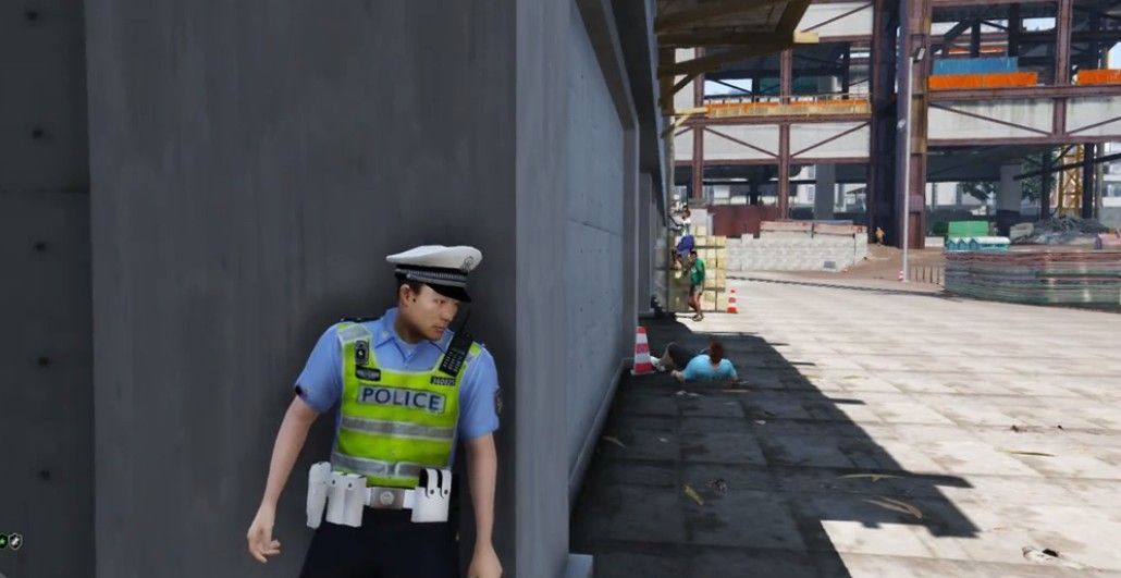 中国警察(China Police)