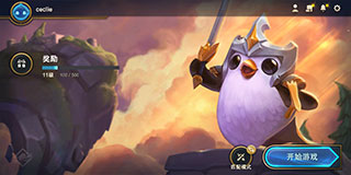 云顶之奕(TFT)