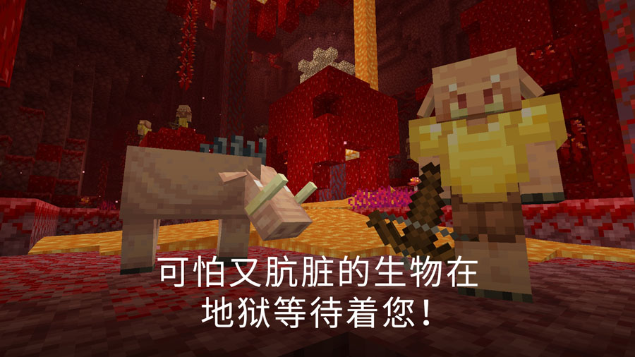我的世界基岩版正版(Minecraft)